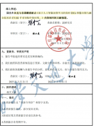 外报道的DSA术中图