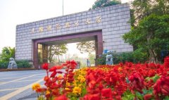 <b>摸索的怯气往往能冲破学科壁</b>